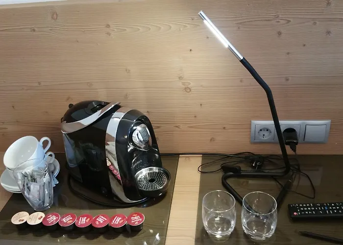 酒店 韦盖纳酒店