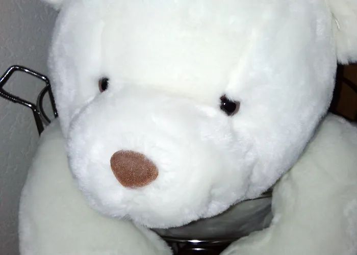 韦盖纳酒店 酒店 3*