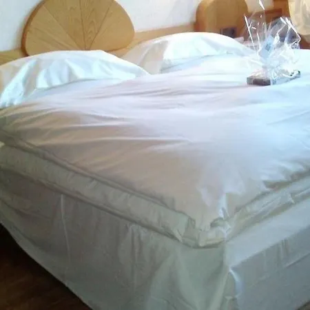 Vergeiner Hotel 3*