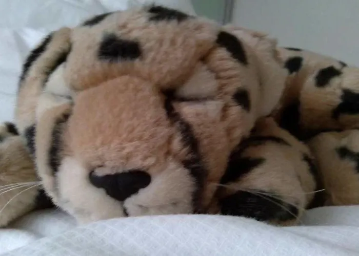 Vergeiner 3* Seefeld in Tirol