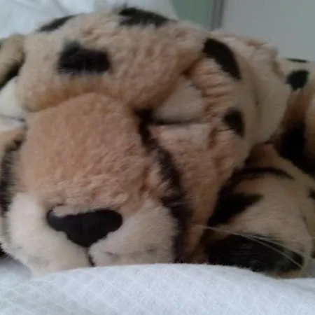 Vergeiner 3* Seefeld in Tirol